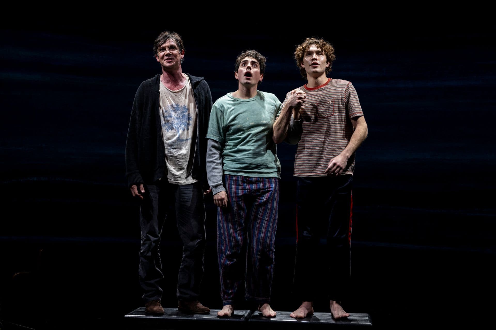 Grief Is The Thing With Feathers