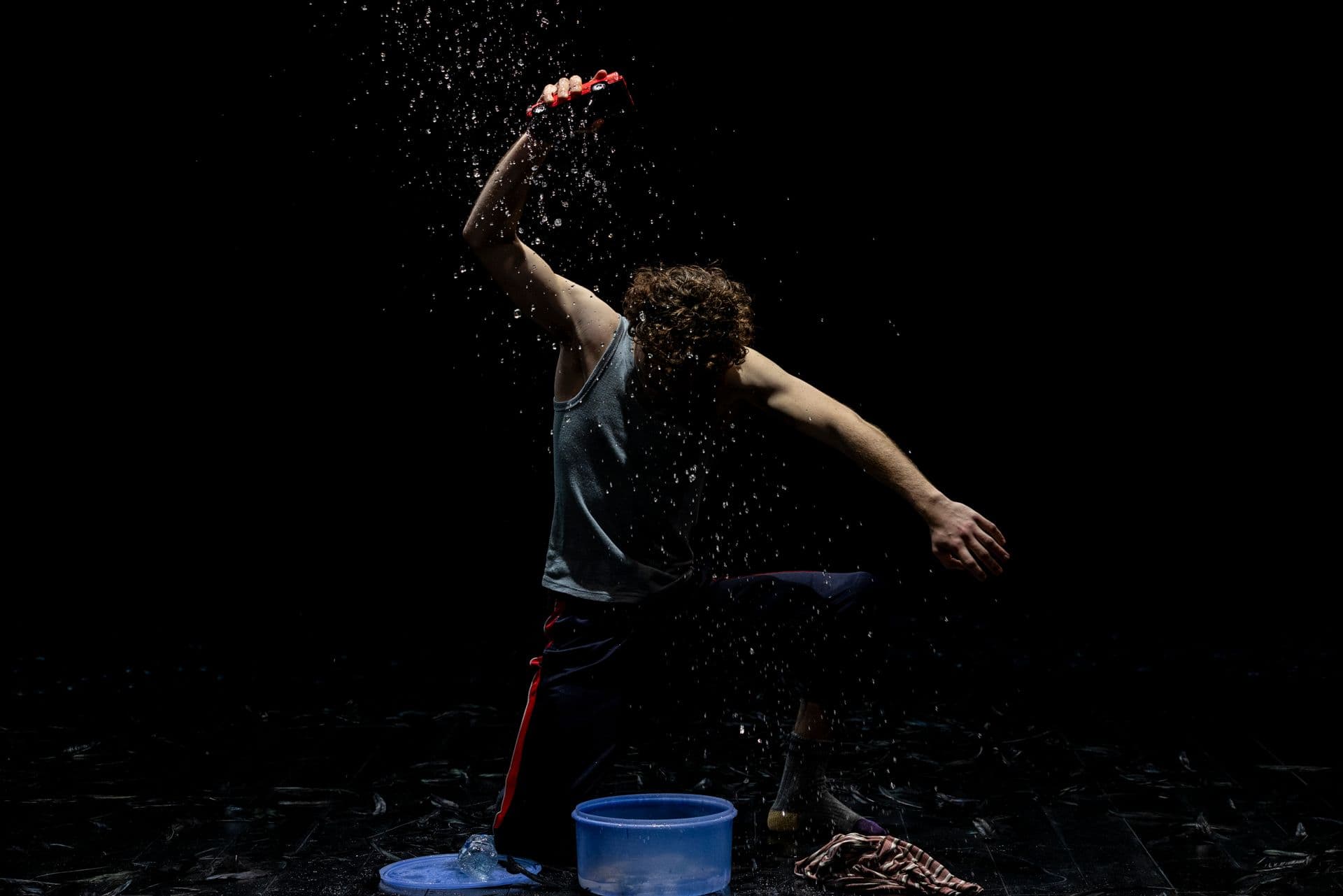 Grief Is The Thing With Feathers